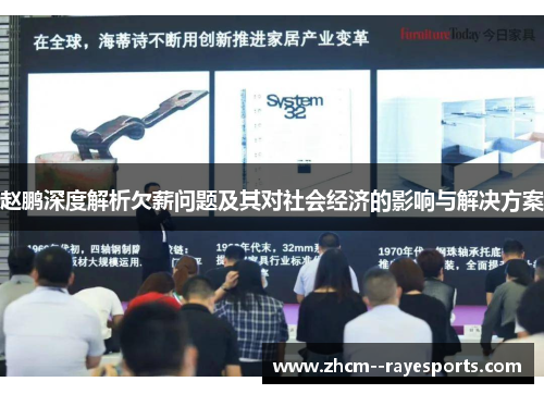 赵鹏深度解析欠薪问题及其对社会经济的影响与解决方案