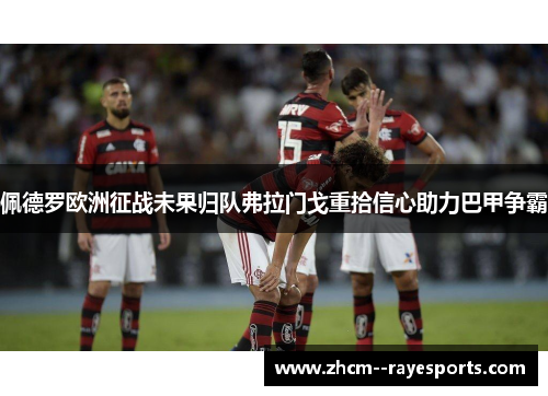 佩德罗欧洲征战未果归队弗拉门戈重拾信心助力巴甲争霸 佩德罗欧洲征战未果归队弗拉门戈重拾信心助力巴甲争霸